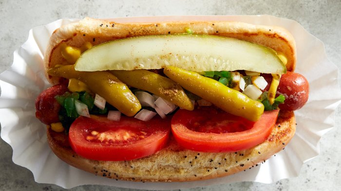 How to cook a beef chicago style hotdog