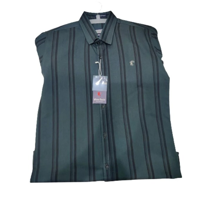 Green striped men's dress shirt